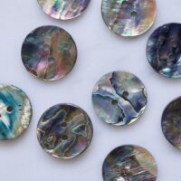 Abalone shell buttons