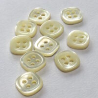 Trocas Shell Buttons1